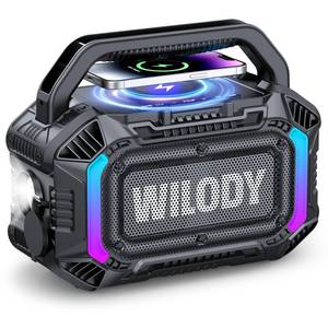 lot 5673 image: Wilody Speakers Bluetooth Wireless, 100W Loud Outdoor Speaker with Bass, IPX7 Waterproof Floatable, 20H Playtime, Wireless Charge, TWS, RGB Light, Portable Speaker for Work, Garage, Outdoor (Black)