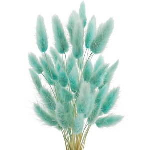 lot 6437 image: Uieke 120 Pcs Bunny Tails Dried Flowers, 17���� Dried Lagurus Ovatus, Dried Foxtail Grass for Flower Arrangements Wedding Centerpieces Home Boho Baby Shower Party Decorations (Teal Blue)