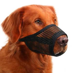 lot 6459 image: Mayerzon Dog Muzzle, Soft Mesh Muzzles for Small Medium Large Dogs Chihuahua Poodle Husky Labrador Retriever, Breathable Dog Mouth Guard for Biting Chewing Grooming, Allow Panting Drinking(XL, Black)
