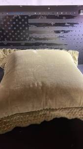 lot 11409 image: Green Cotton Throw Pillow 20x20 Inch