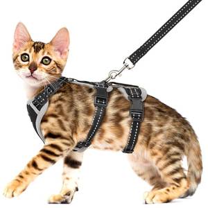 lot 12413 image: Cat Harness for Walking, Escape Proof Cat Harness and Leash Set with Reflective Strip, Adjustable Cat Leash Breathable Soft Vest for Small to Large Cats, BlackGrey, M