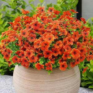 lot 14129 image: alyptus Artificial Mums for Outdoors �� 12 Bundles UV Resistant Fall Flowers, Faux Outdoor Flowers & Fake Mums for Spring Summer Decor, Christmas Decorations