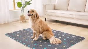 lot 12366 image: Aitmexcn Washable Dog Pee Pads 24x36 Inch