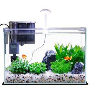 lot 11468 image: 3 Gallon Glass Small Fish Tank, Betta Fish Tank Starter Kit with Filter, Lights,Lid.