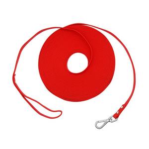 lot 14296 image: Long Dog Leash Waterproof Recall Training Lead Outdoor Long Line Great for Training, Beach, Play, Camping, or Backyard