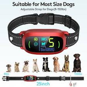 lot 2084 image: Jugbow More kindness more happiness small dog training collar