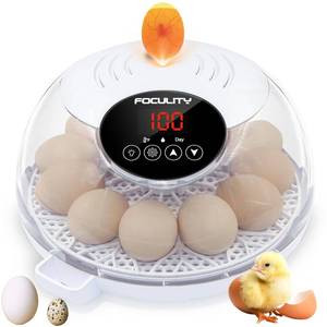 lot 1259 image: Egg Incubator for Hatching Chicks, Holds 12 Eggs, Automatic Egg Turner with Temperature, Humidity Display, Egg Candler, Automatic Egg Turner, 360 Degree View with Clear Window
