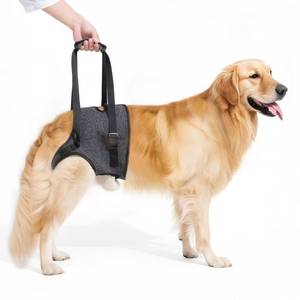 lot 4372 image: Lqyom Dog Sling for Large Dogs Hind Leg Support, Adjustable Soft Padded Harness for Weak, Injured, or Disabled Back Legs, Helps Support Senior, Arthritic, and Mobility-Impaired Dogs (X-Large)
