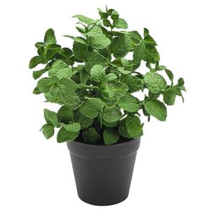 lot 9590 image: Coferset Small Fake Plants Mint Artificial Potted Plants for Home Office Bathroom Shelf Farmhouse Coffee Table Decor (Green)