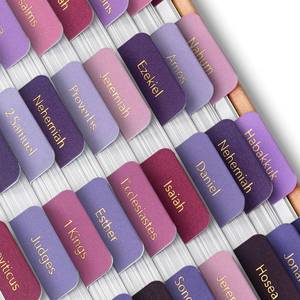 lot 12205 image: Mr. Pen- Bible Tabs, 75 Tabs, Berry Bloom, Gold Foil Embossed Lettering, Laminated Bible Tabs for Women and Men, Bible Tabs for Study Bible Index Tabs, Bible Book Tabs, Bible Labels Tabs