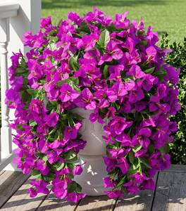 lot 20362 image: Faux Bougainvillea Artificial Flowers Plants for Outdoors Outside Decoration, 2 pcs Purple Fake Flowers UV Resistant Look Real Silk Long Trailing Vines for Front Door Porch Planter Urn Patio Garden