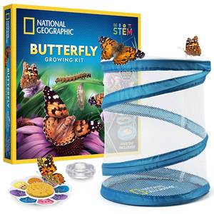 lot 5885 image: National Geographic Butterfly Growing Kit - Butterfly Habitat Kit with Voucher to Redeem 5 Caterpillars (S&H Not Included), Butterfly Cage, Feeder (Amazon Exclusive)