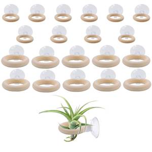lot 6414 image: Hiyoo 20 PCS Air Plant Holder Suction Cup, 2 Sizes Small Wooden Tillandsia Hanger with Suction Cups for Smooth Glass, Tile, Window, Metal Surface Home Decor Display (Plants Not Included)