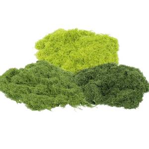lot 10021 image: KEYUSHOP Fake Green Moss for Potted Plants 5.3 OZ Preserved Reindeer Moss Craft Decorative Artificial Moss for DIY Decorative Moss Table Centerpieces Decor Wall Art
