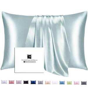 lot 12373 image: Ravmix Silk Pillow Cases with Zipper, 21momme Mulberry Silk Pillowcase for Hair Skin Health, Soft Smooth Breathable Cool Pillow Cover for Beauty Sleep with Gift Box 1PC(Standard 20x26, Aqua Green)