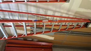 lot 11695 image: 12 Tall Step Ladder