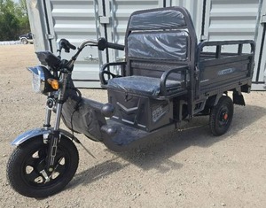 lot 7706 image: Onshine 800W Electric Cargo Tricycle  OSECT-13  Gray