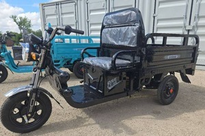 lot 7704 image: Onshine 800W Electric Cargo Tricycle  OSECT-13  Black