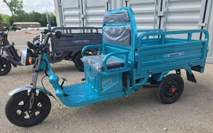 lot 7703 image: Onshine 800W Electric Cargo Tricycle  OSECT-13  Turquoise