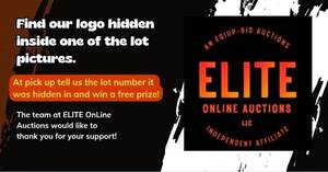lot 2 image: Elite Online Auctions Promotional Banner