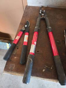 lot 171 image: Corona Extendable Lopper and Bypass Lopping Shears Set