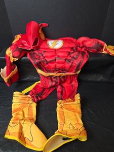lot 478 image: Justice League Flash Superhero Halloween Costume