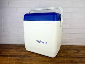 lot 52925 image: Gott Tote 18 plastic personal cooler