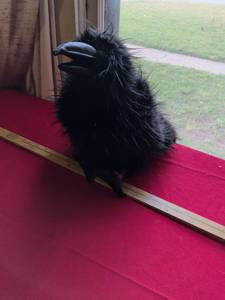 lot 2 image: Folkmanis Black Raven Hand Puppet