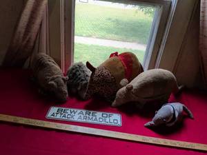 lot 20 image: Stuffed Animal Collection with Beware of Attack Armadillo Sign