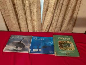 lot 145 image: Marine Life Book Collection - Whales and Coral Reef Educational Books