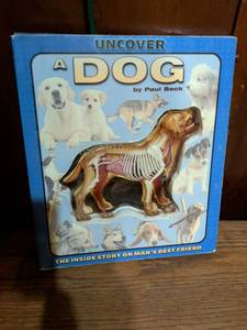 lot 348 image: Uncover A Dog by Paul Beck Educational Anatomy Book
