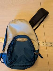 lot 424 image: LeapFrog Leapster Educational Gaming System with Carrying Case
