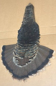 lot 3 image: Turkey pelt