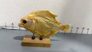 lot 1139 image: Taxidermy piranha fish mounted on a wooden base 3x6