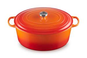 Le Creuset Enameled Cast Iron Signature Oval Dutch Oven, 15.5qt., Flame Looks New
