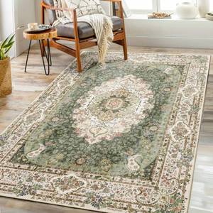 lot 1371 image: Castage Green Rug 3x5,Washable Area Rugs for Bedroom Living Room Kitchen Entryway,Small Boho Vintage Bohemian Distressed Non Slip Carpet,Floral - Retail $40