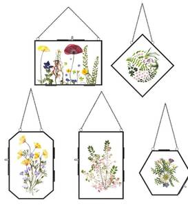 lot 1830 image: FOCHIER F 5 Pcs Pressed Flower Frames Wall Hanging Tabletop Display Double Glass Frames with Metal Chain for Pressed Dried Flowers Plants, Horizontal and Vertical Picture Frame, Black - Retail $28