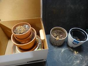 lot 26550 image: Lot of Misc. Flower Pots