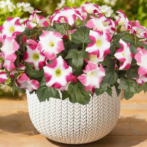 lot 444 image: Artificial Flowers for Outdoors, Faux Petunias Spring Summer Decoration, Fake Flowers Plants UV Resistant Look Real Silk Flowers for Outside Planter Front Door Porch Patio Yard (12, Pink-White) - Retail $46