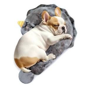 lot 636 image: BurgeonNest Small Dog Calming Pillow for Dogs and Cats, Fluffy Soft Colorful Sleep Bolster Cozy Pet Bed Pillow, Great Present for Senior Pup Puppy Kitten, Washable, L - Retail $22