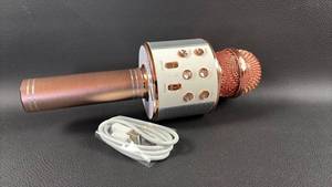 lot 8 image: Wireless Bluetooth Karaoke Microphone with Speaker