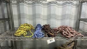 lot 18335 image: Climbing Rope Collection - Static and Dynamic Ropes Tie Down Ropes