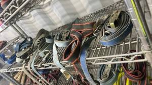 lot 18338 image: Mixed Lot of Cargo Tie Down Straps and Ratchet Straps - Set of 8