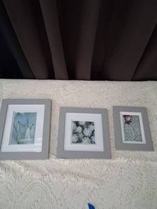 lot 19 image: Set of 3 Framed Succulent Plant Prints