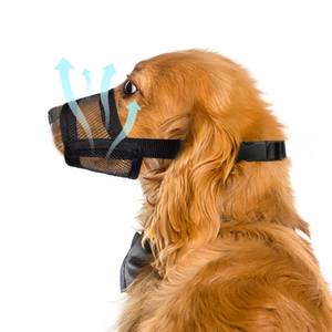lot 2587 image: Flintstone Dog Muzzle for Large Dogs Soft Air Mesh Muzzle for Large Sized Dog  Breathable Mouth Guard to Prevent Biting Chewing Grooming  No Bark Muzzle L 7.9-9.4