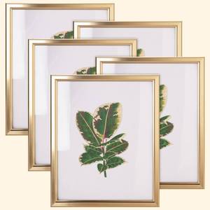 lot 2744 image: euwazram 8x10 Picture Frame - Set of 5, Matte Gold 8 x 10 Photo Frame with High-Definition Glass, Modern 8x10 frame for Tabletop or Collage Wall, Perfect Christmas Frame