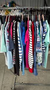 lot 218 image: Womens shirts size small petite