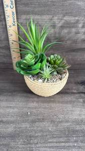 lot 353 image: Mixed Succulent Arrangement in Woven Basket Planter