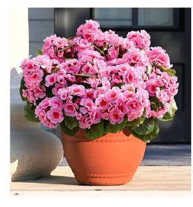 lot 4284 image: 12 Pcs Artificial Fake Flowers for Outdoors