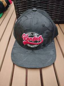 lot 58333 image: Kansas Sunflower State Snapback Trucker Hat